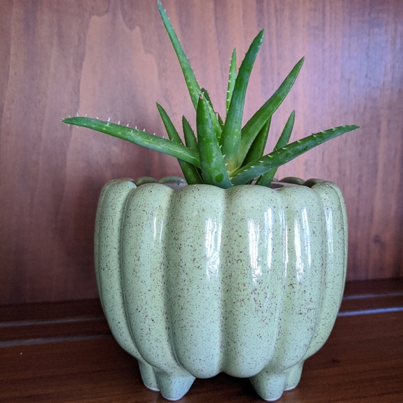 White Pottery Other - Vintage green White Pottery dish or planter